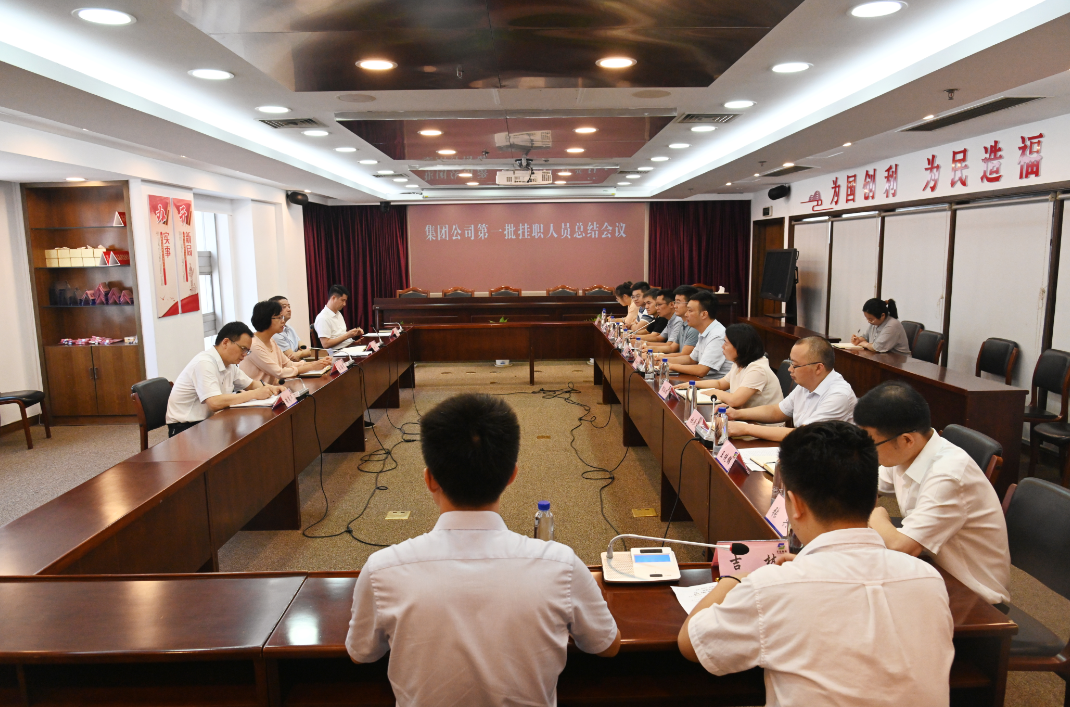 龙珠体育中国股份有限公司官网集团党委召开第一批挂职人员总结会议